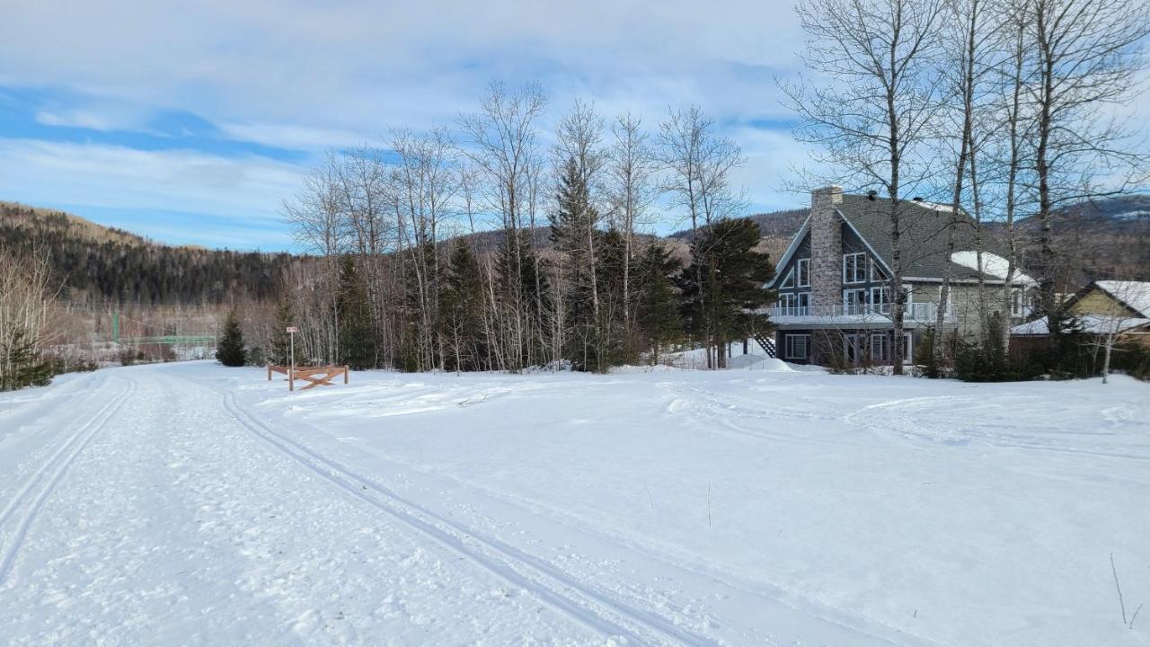 Condo-Chalet De La Vallee D'Edouard LʼAnse-Saint-Jean Exterior foto